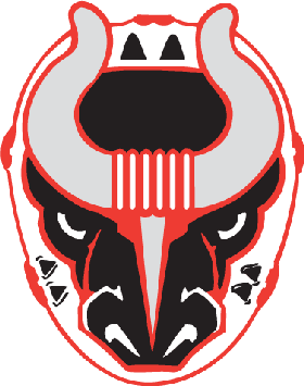 Fact Sheet: Birmingham Bulls